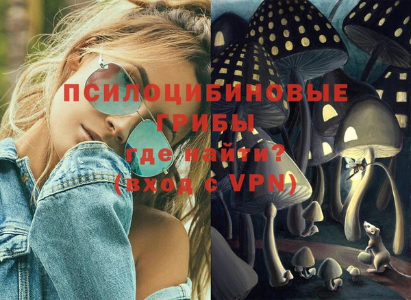сатива Белоозёрский