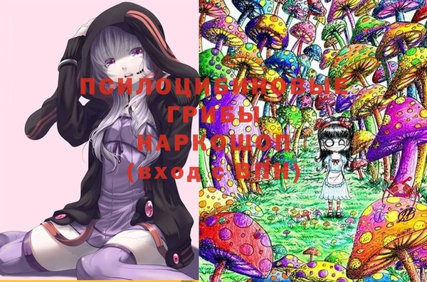 тгк Беломорск