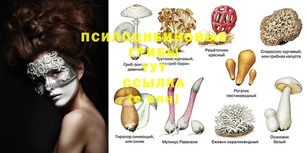 сатива Белоозёрский